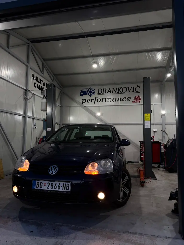Branković Performance rad 12