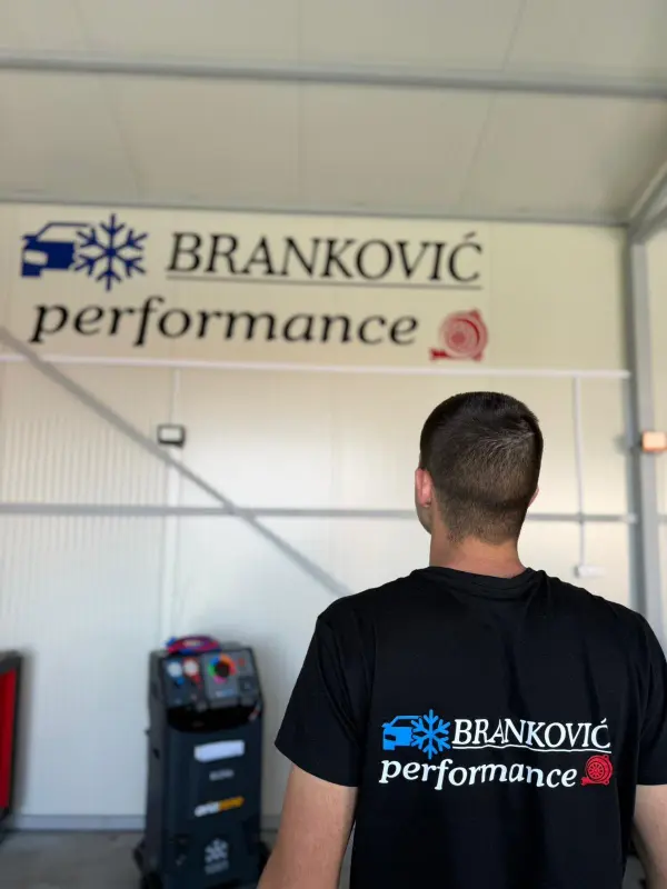 Branković Performance rad 2