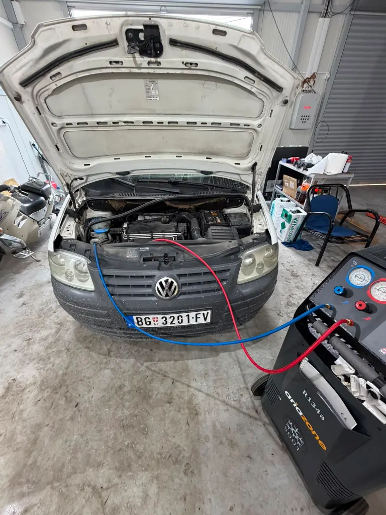 Branković Performance rad 21